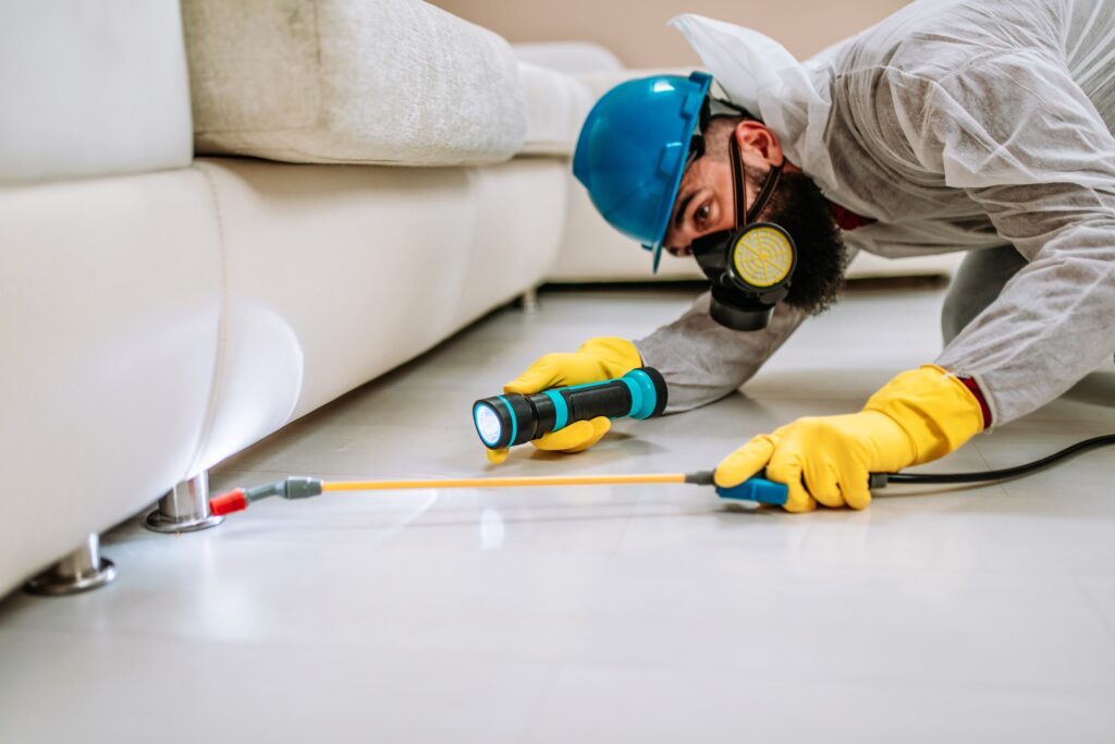 San Lorenzo Termite Control